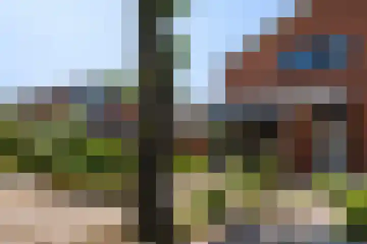 Lindelaan 35 Westerbork thumbnail 31