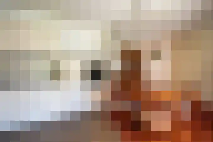 Lindelaan 35 Westerbork thumbnail 8