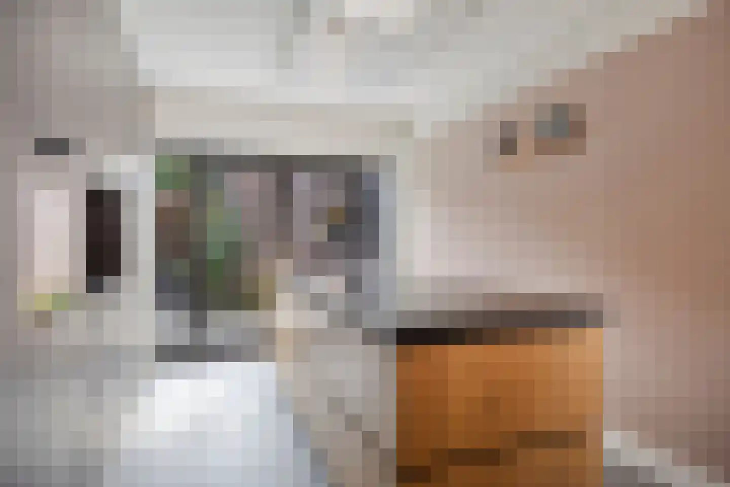Lindelaan 36 Diepenheim thumbnail 10