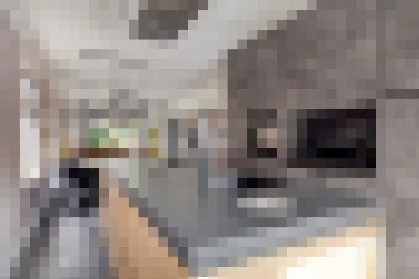 Lindelaan 36 Diepenheim thumbnail 11