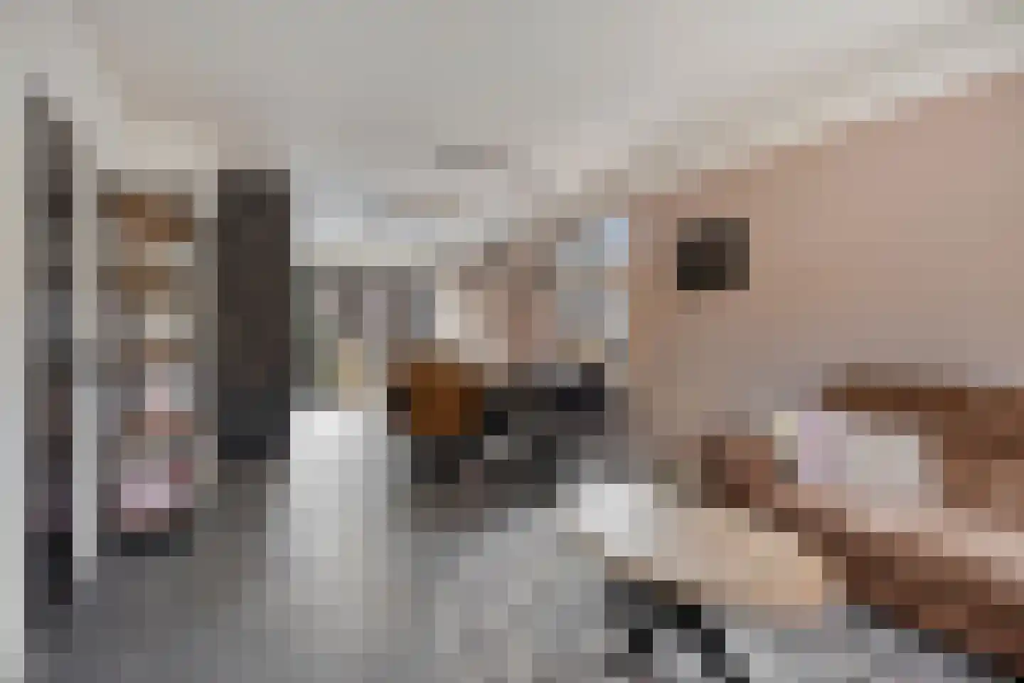 Lindelaan 36 Diepenheim thumbnail 5