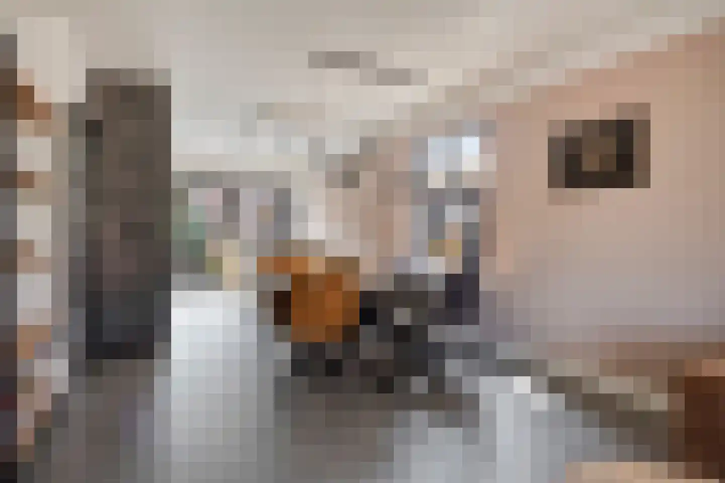Lindelaan 36 Diepenheim thumbnail 8