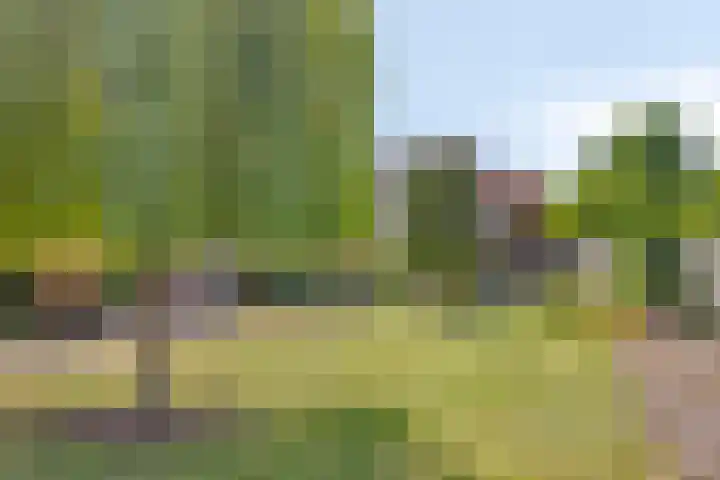 Lindelaan 36 Westerbork thumbnail 24