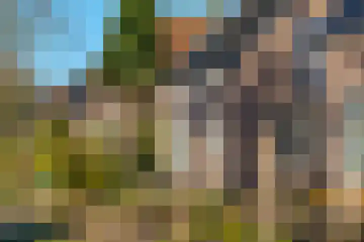 Lindelaan 36 Westerbork thumbnail 4