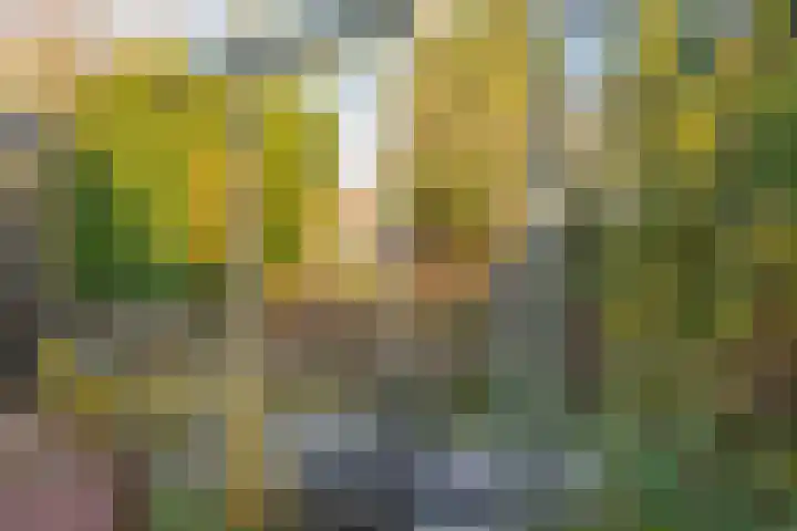Lindelaan 36 Westerbork thumbnail 48
