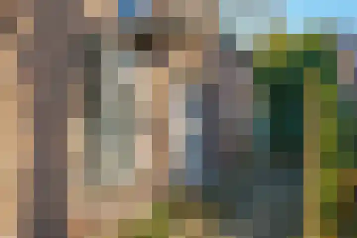 Lindelaan 36 Westerbork thumbnail 5
