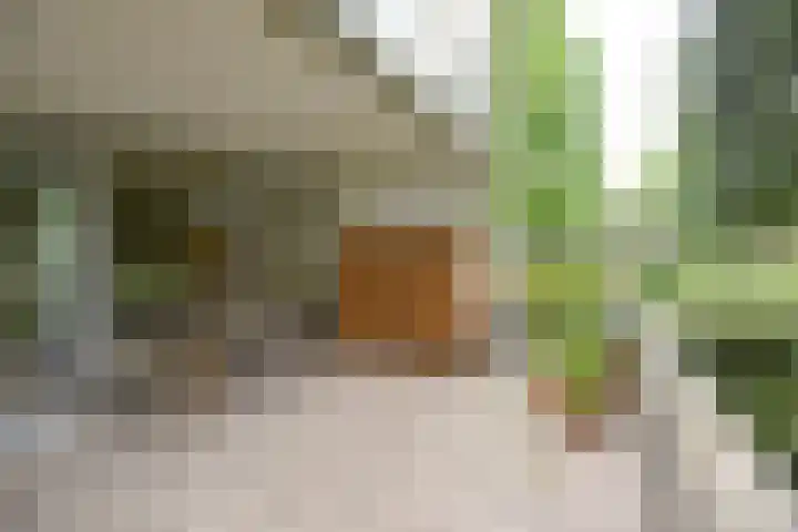 Lindelaan 37 Bussum thumbnail 22
