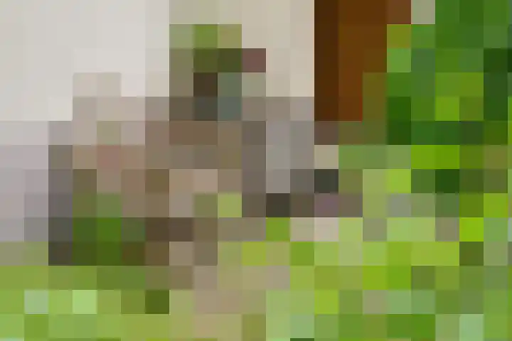 Lindelaan 37 Bussum thumbnail 27