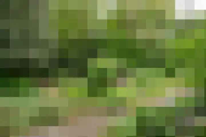Lindelaan 37 Bussum thumbnail 28