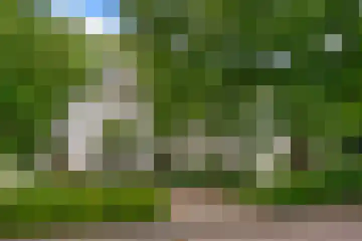 Lindelaan 37 Bussum thumbnail 32