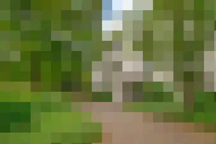 Lindelaan 37 Bussum thumbnail 34