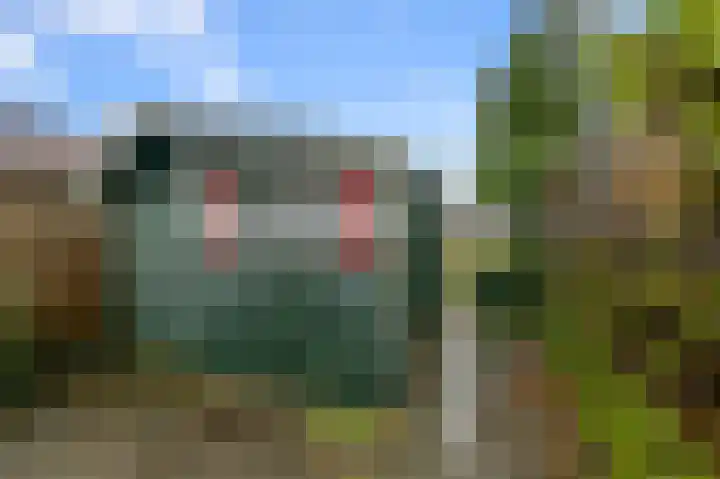 Lindelaan 37 Krommenie thumbnail 26