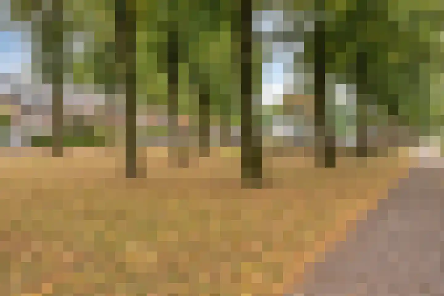 Lindelaan 37 Stevensbeek thumbnail 32