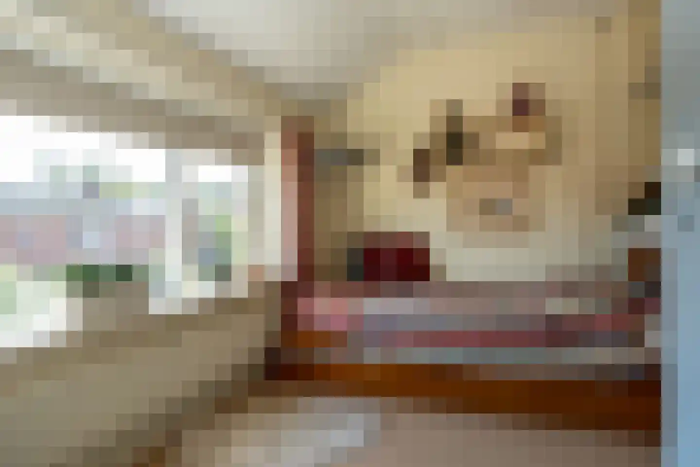 Lindelaan 37 Winschoten thumbnail 18
