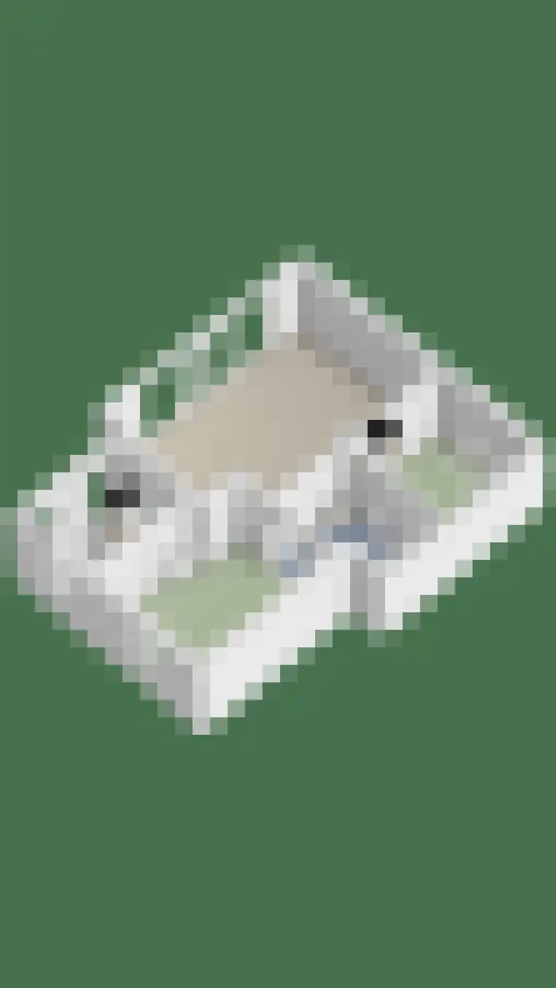Lindelaan 4 Diepenheim thumbnail 36