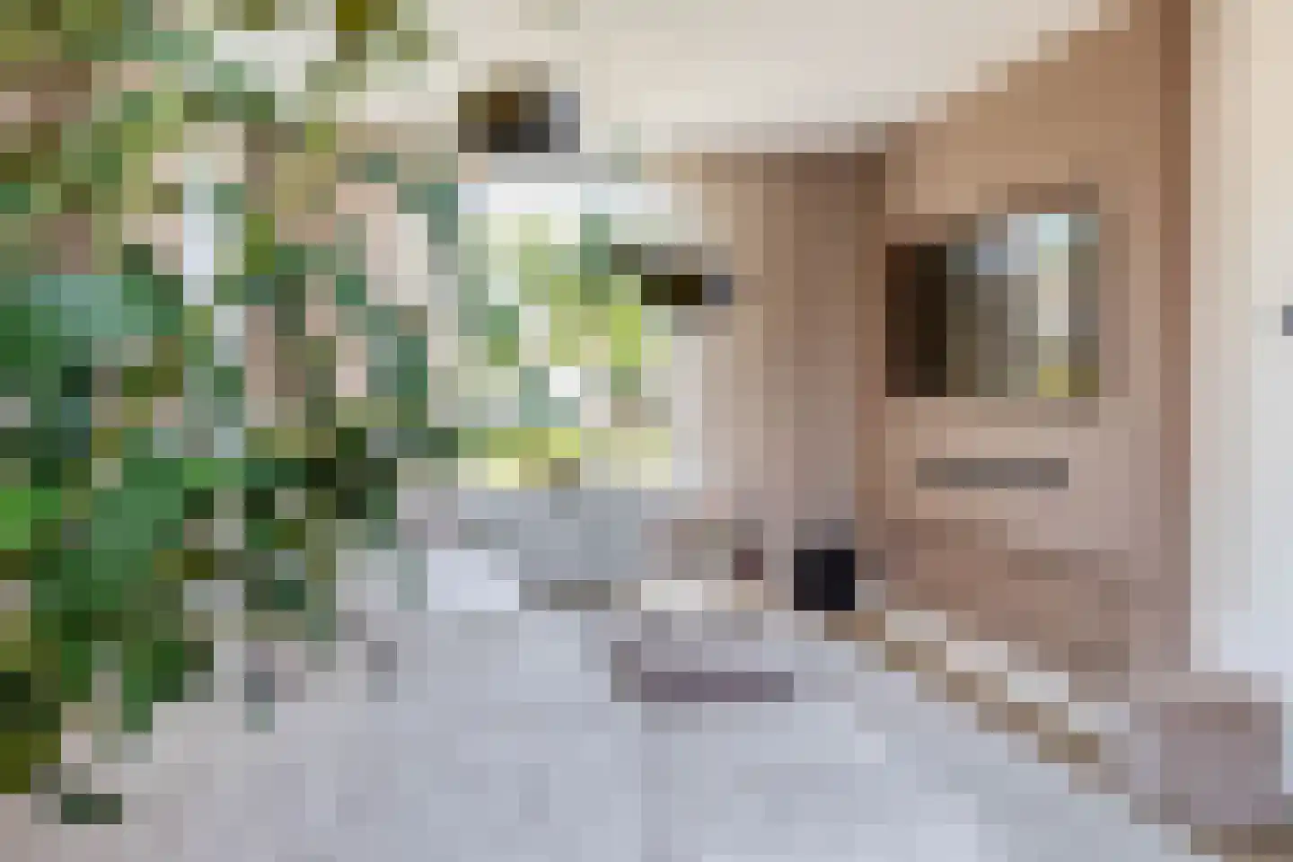 Lindelaan 4 Roden thumbnail 15