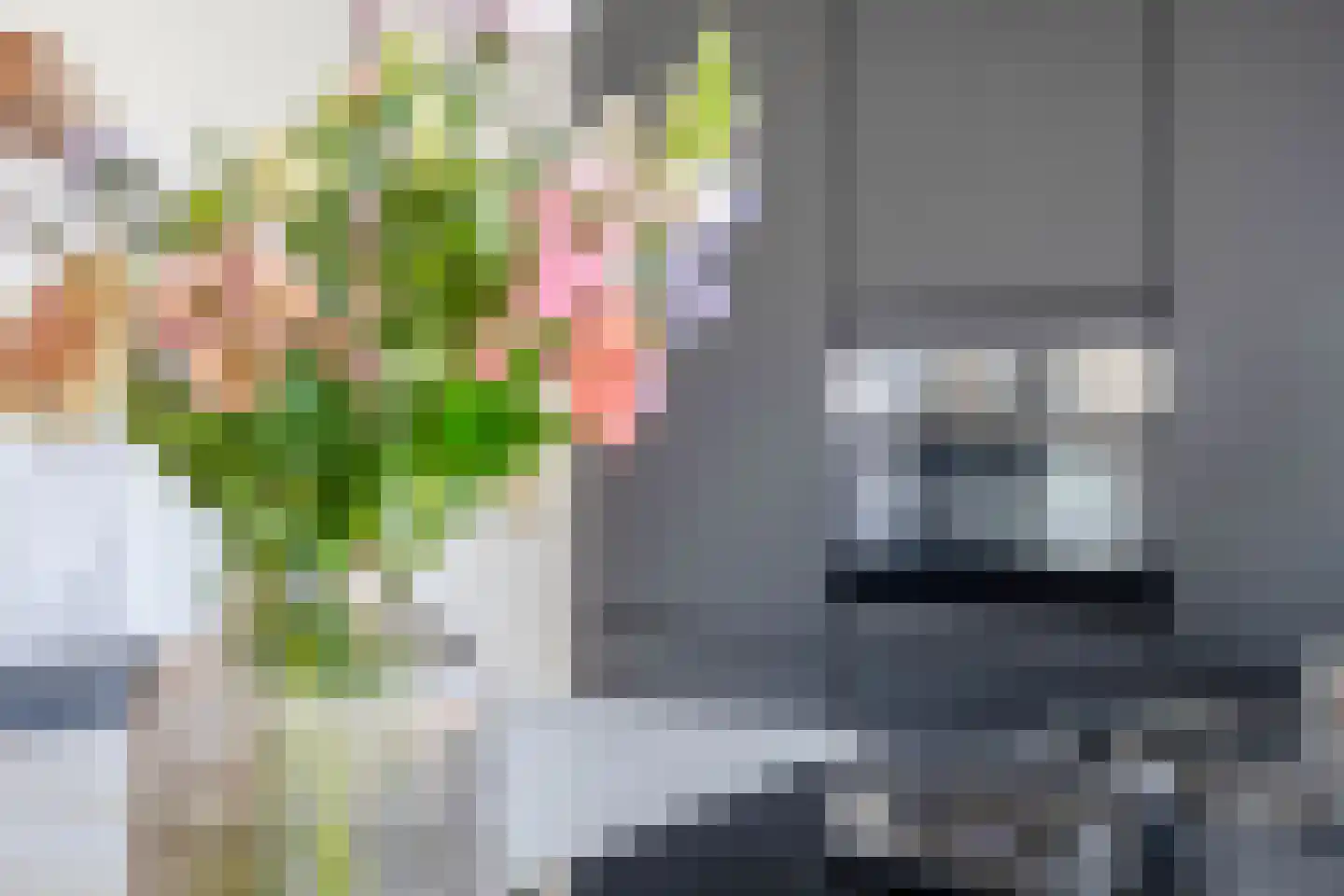 Lindelaan 4 Roden thumbnail 18