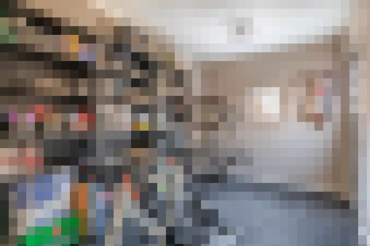 Lindelaan 4 Roden thumbnail 29