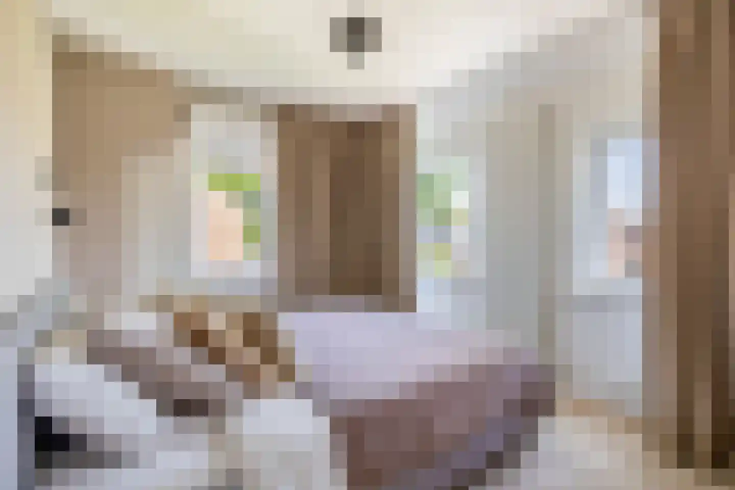 Lindelaan 4 Roden thumbnail 33