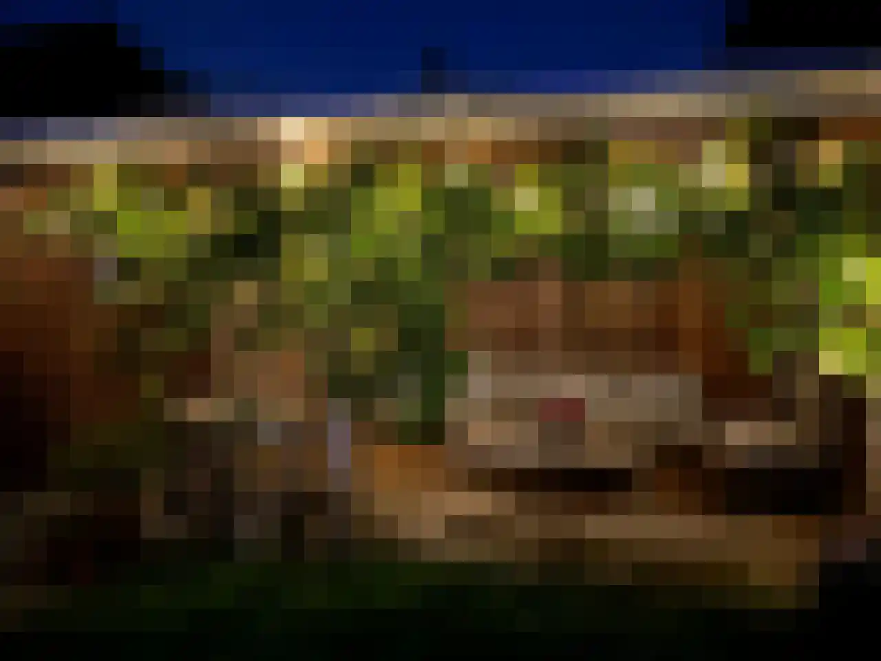 Lindelaan 40 Diepenheim thumbnail 34