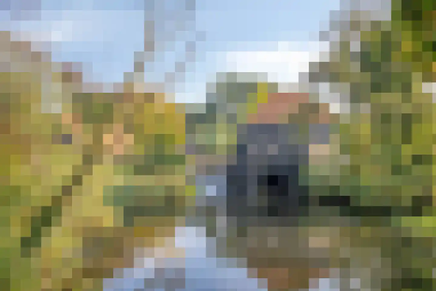 Lindelaan 40 Diepenheim thumbnail 39