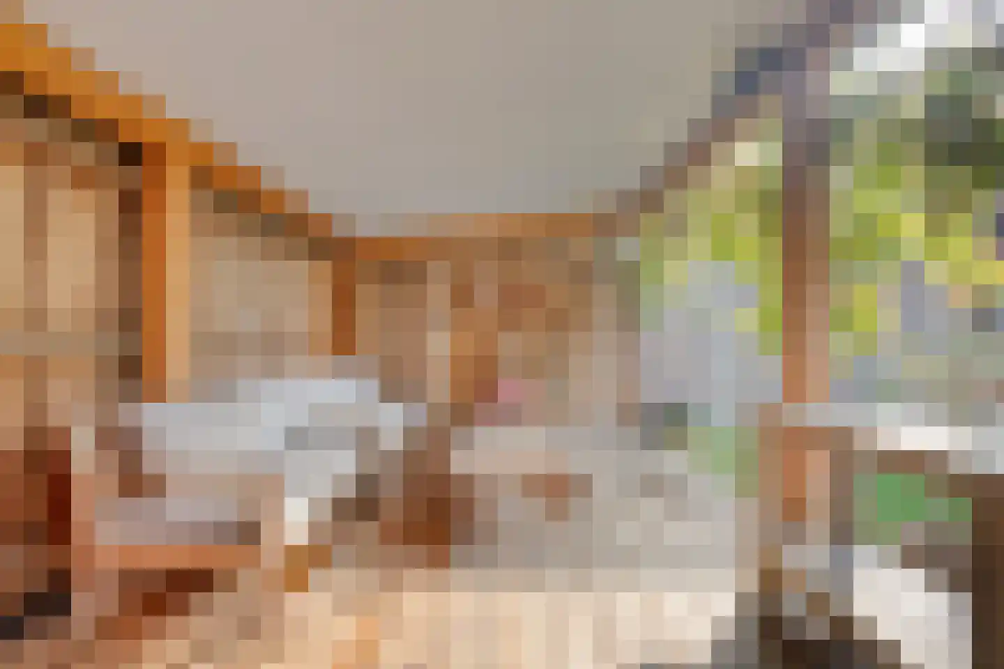 Lindelaan 40 Diepenheim thumbnail 6