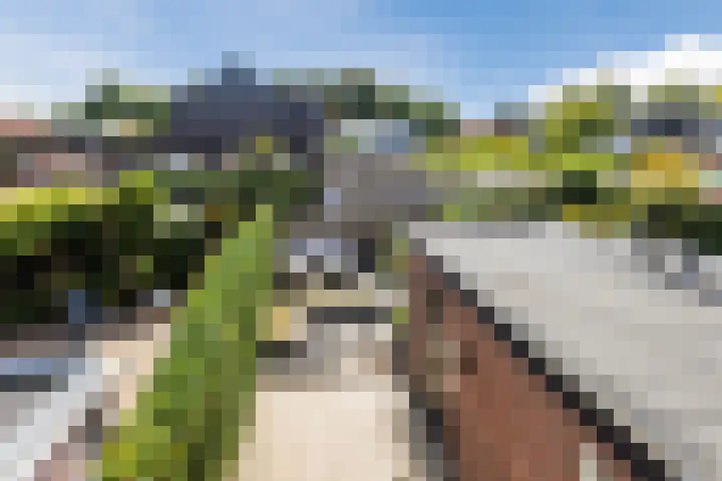 Lindelaan 40 Loosdrecht thumbnail 30
