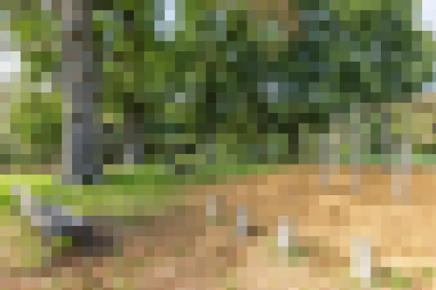 Lindelaan 40 Loosdrecht thumbnail 38