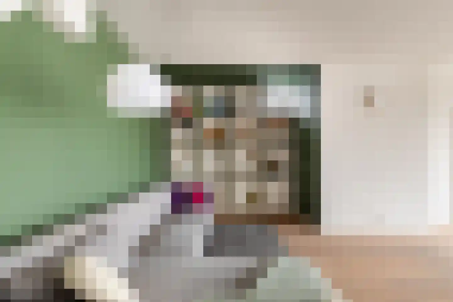 Lindelaan 40 Zwijndrecht thumbnail 10
