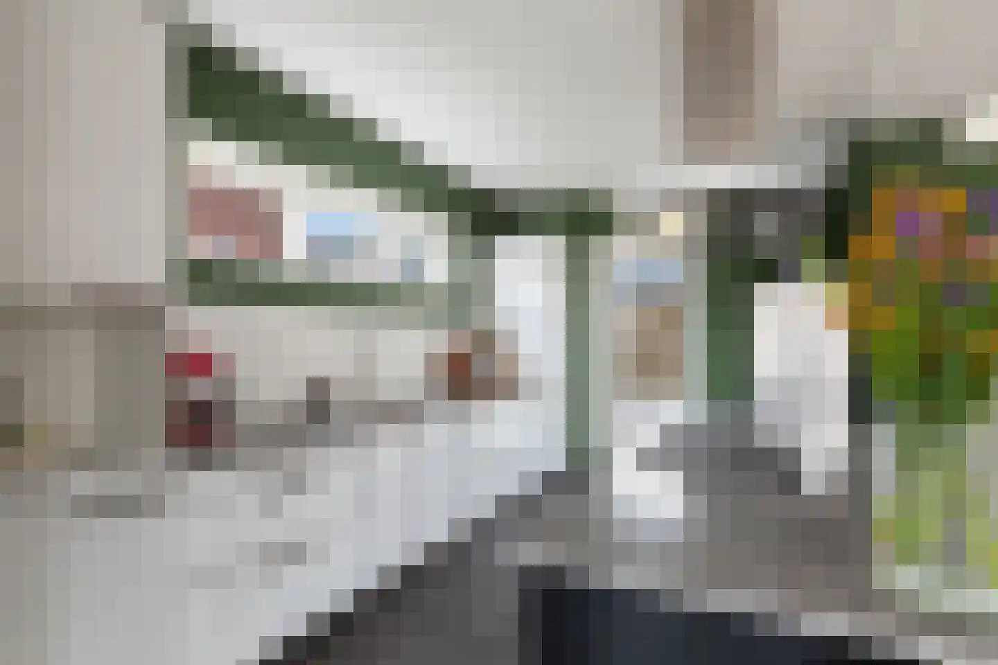 Lindelaan 40 Zwijndrecht thumbnail 14
