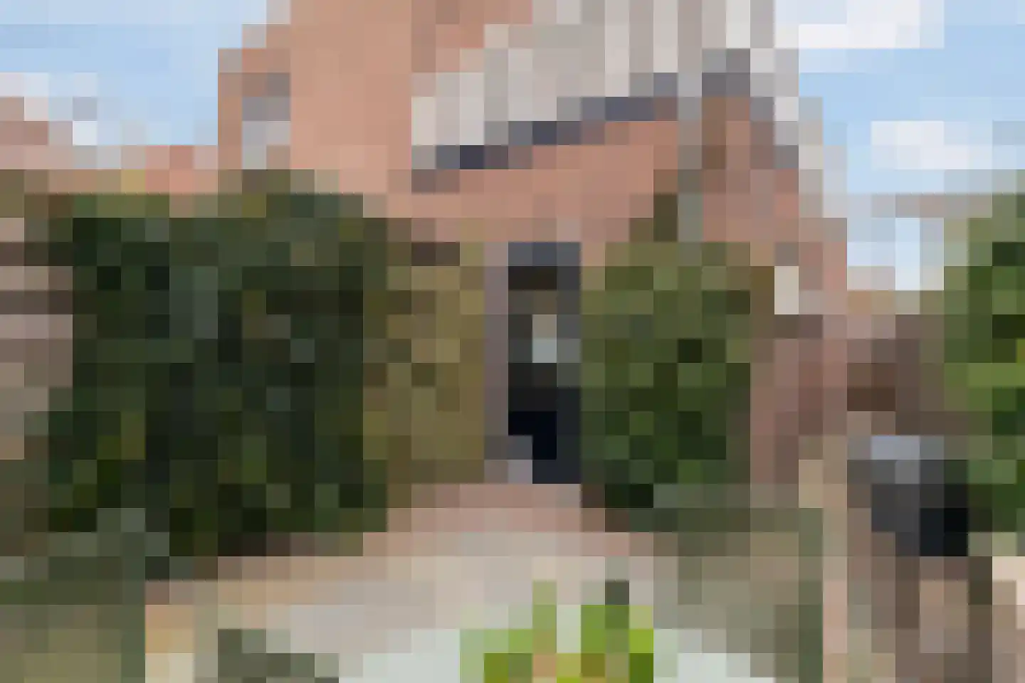 Lindelaan 40 Zwijndrecht thumbnail 17