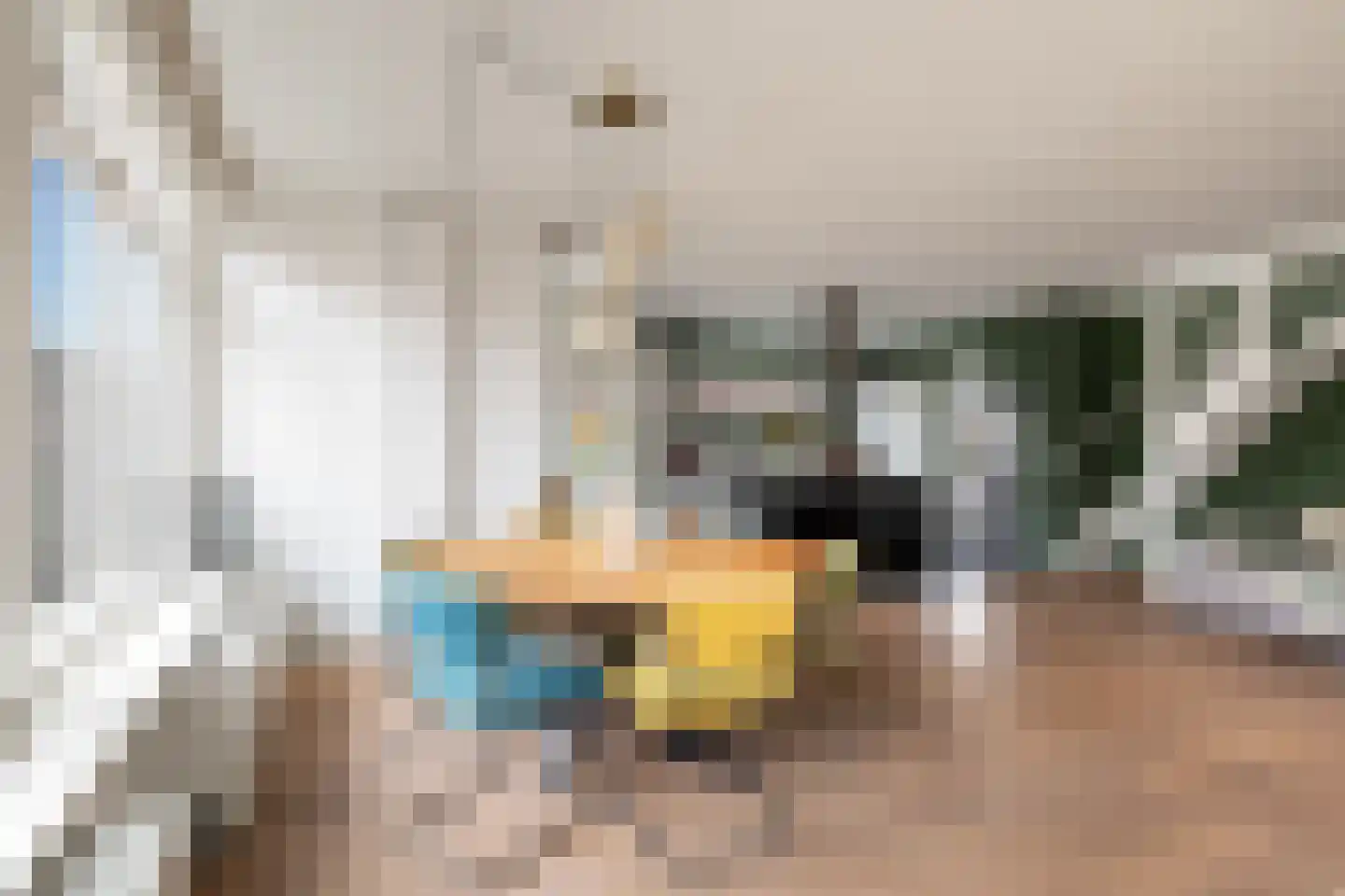 Lindelaan 40 Zwijndrecht thumbnail 7