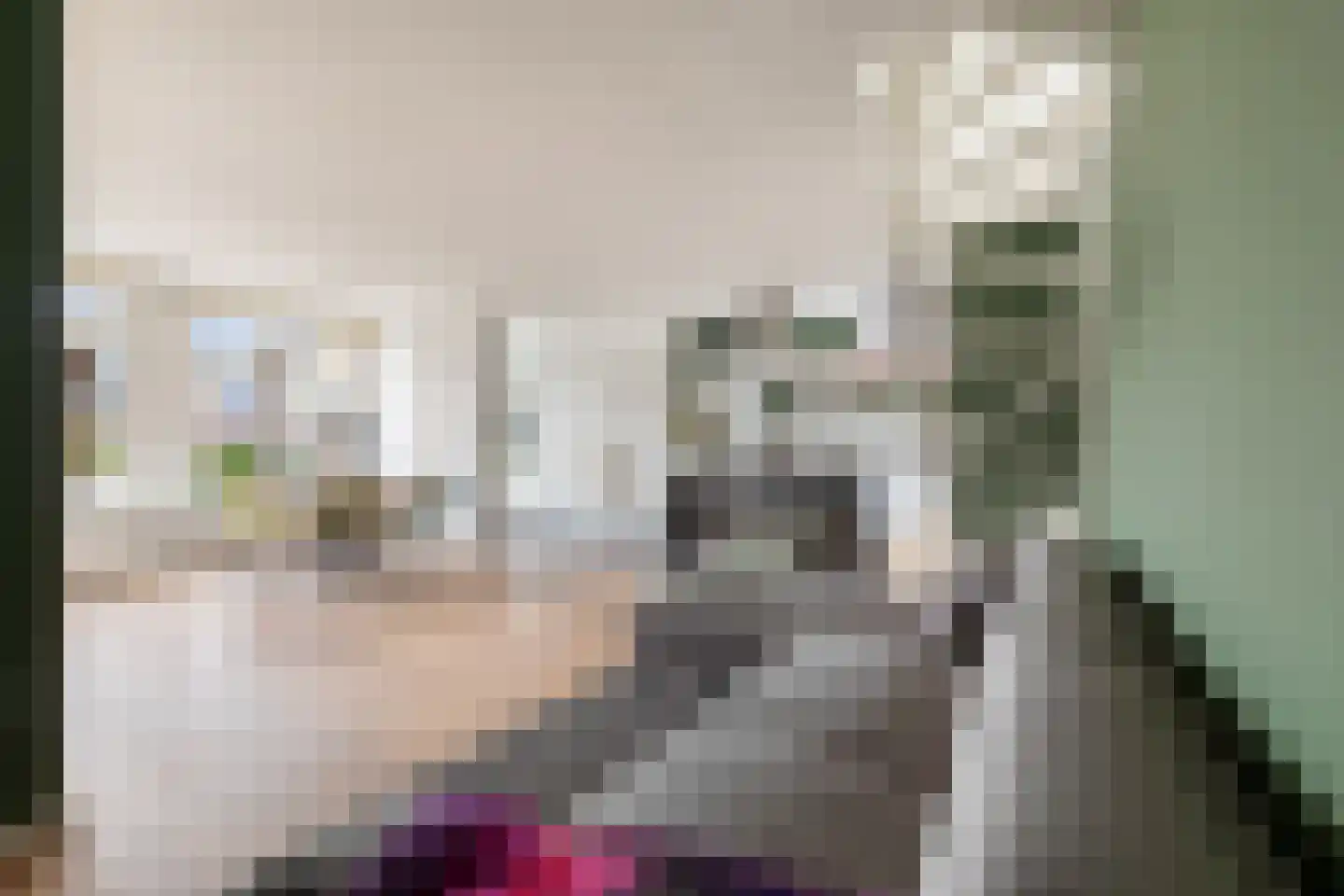 Lindelaan 40 Zwijndrecht thumbnail 8