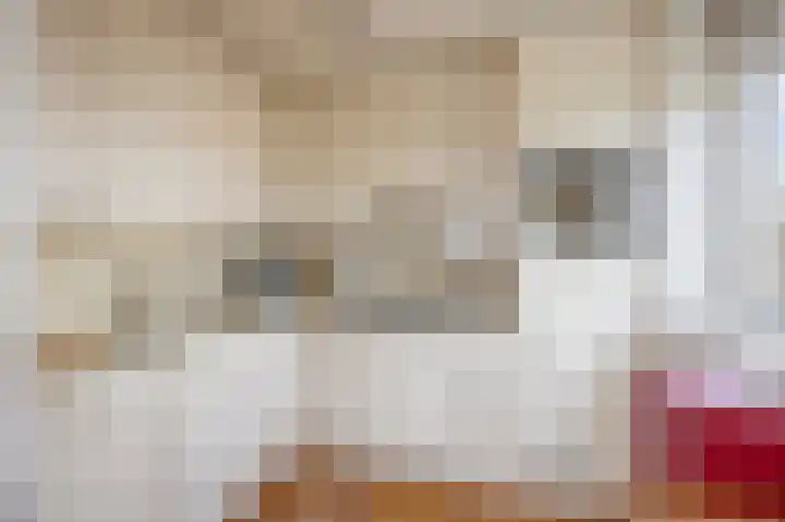 Lindelaan 404 Roermond thumbnail 19