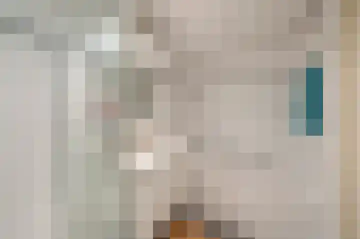 Lindelaan 404 Roermond thumbnail 25