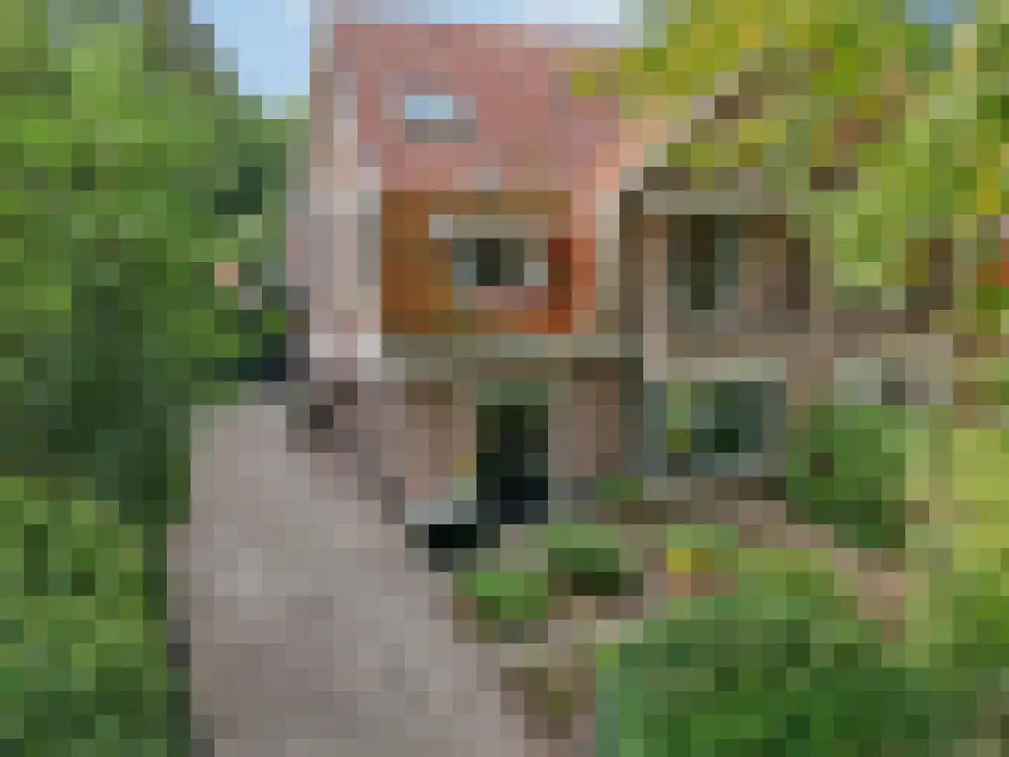 Lindelaan 42 Ede