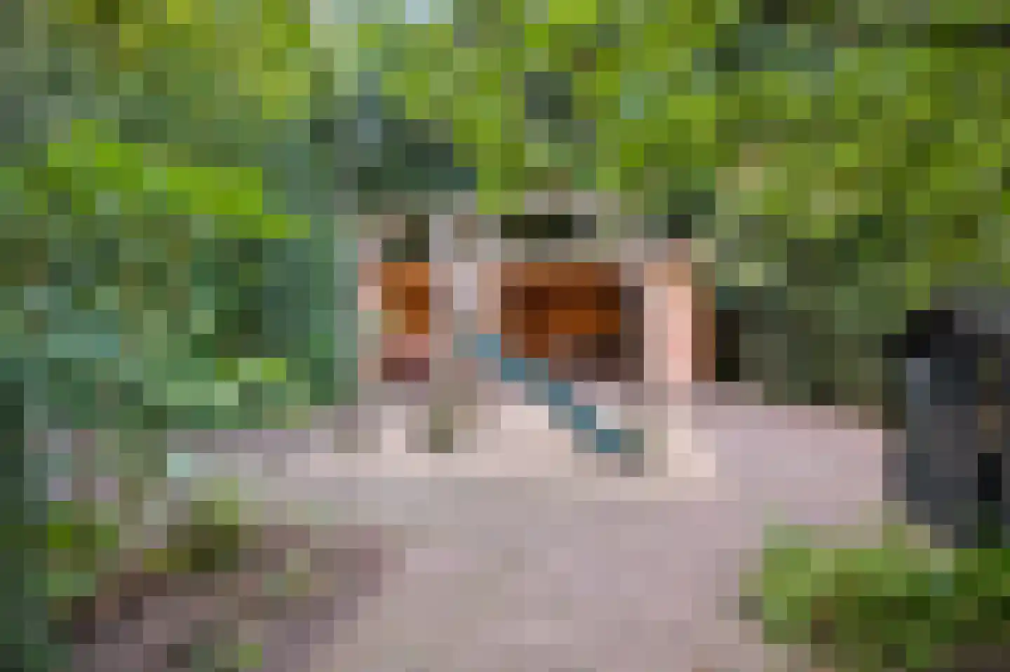 Lindelaan 42 Ede thumbnail 52