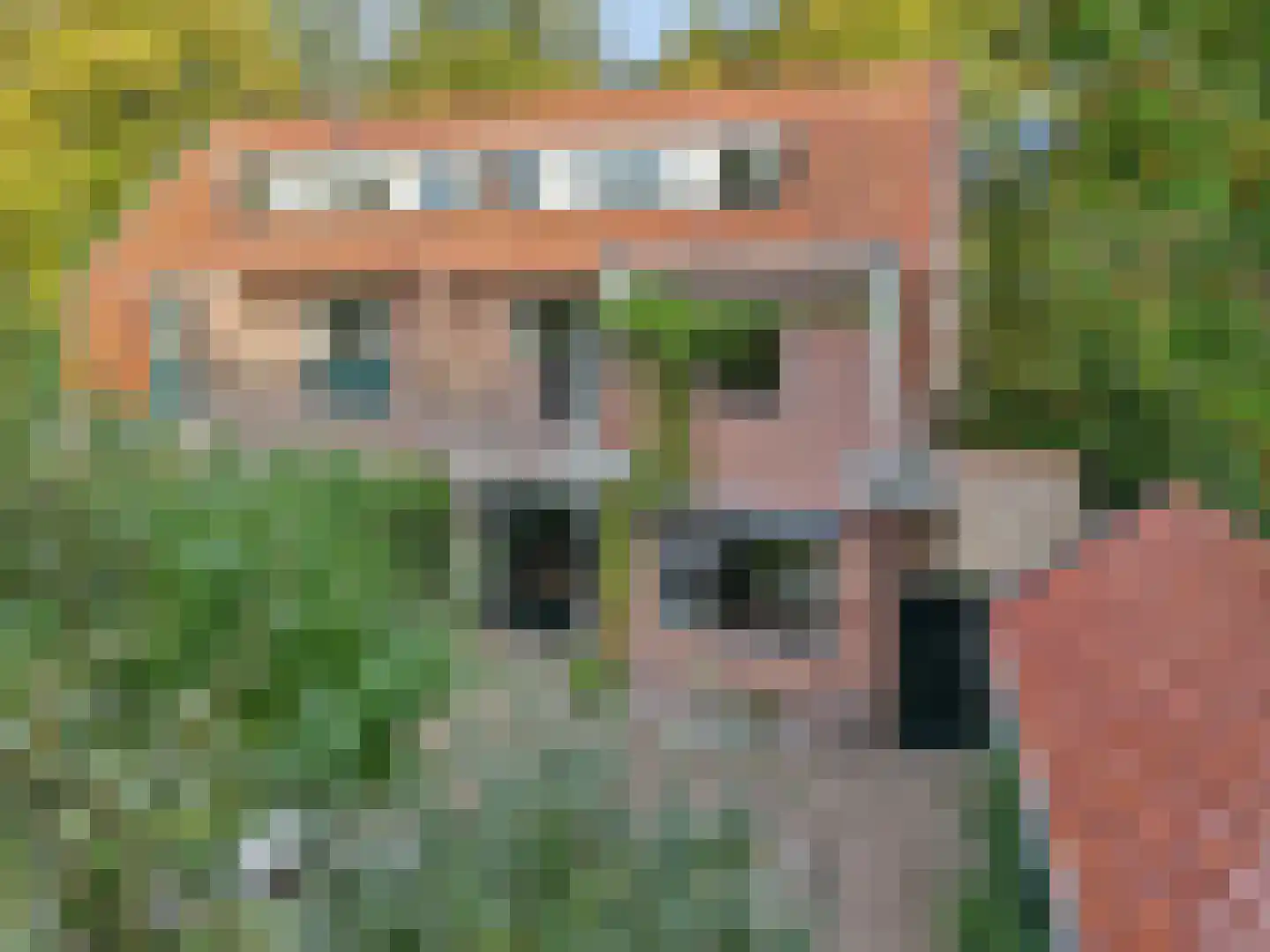 Lindelaan 42 Ede thumbnail 62