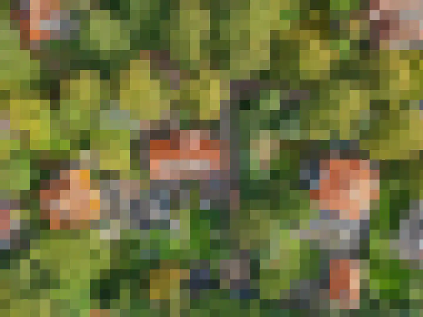 Lindelaan 42 Ede thumbnail 64