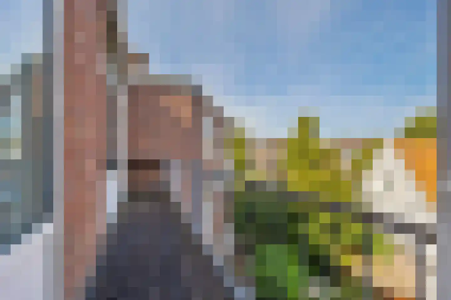 Lindelaan 46 a Rijswijk thumbnail 13