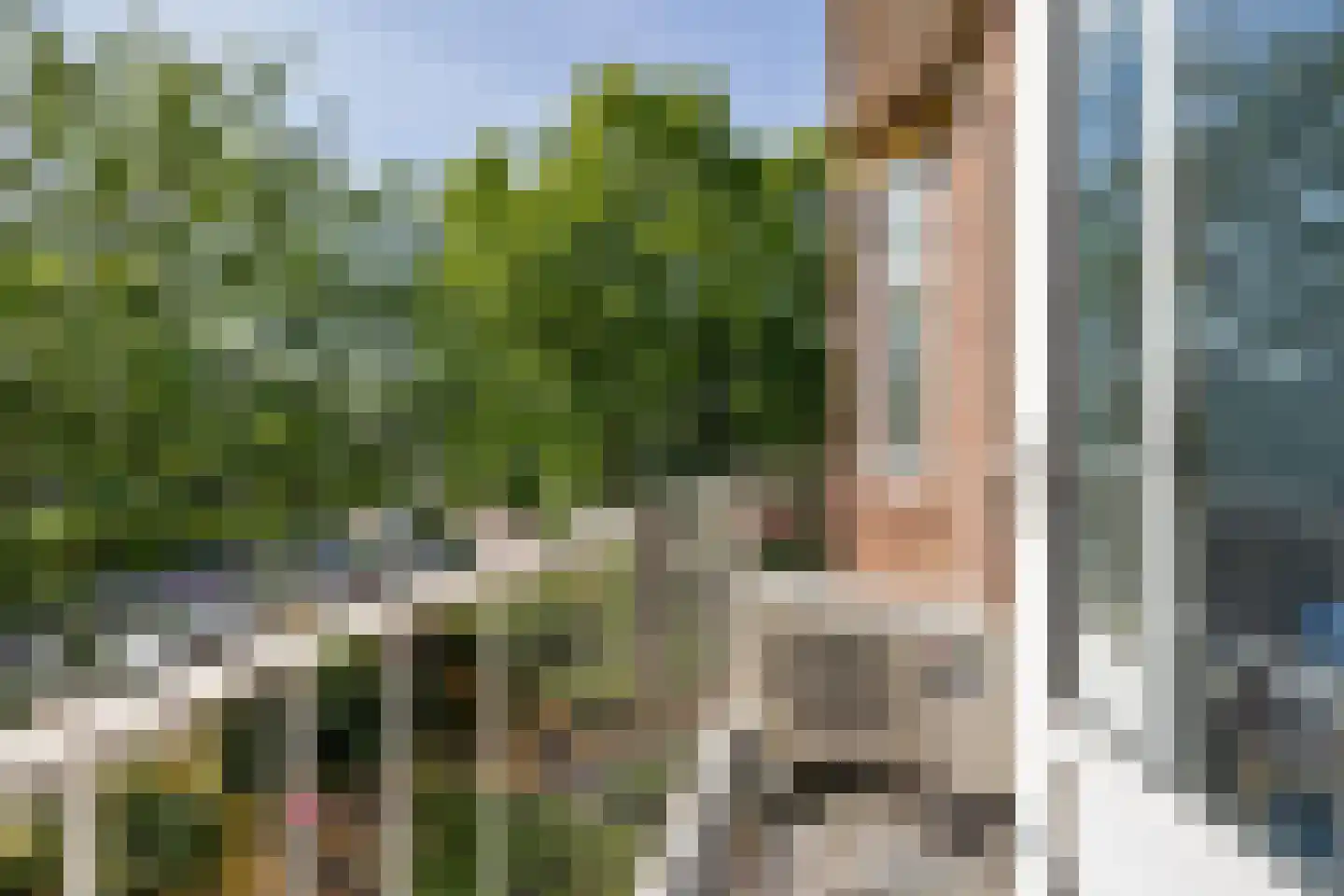 Lindelaan 46 a Rijswijk thumbnail 21