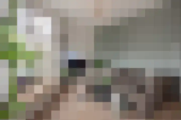 Lindelaan 47 a Rijswijk thumbnail 10