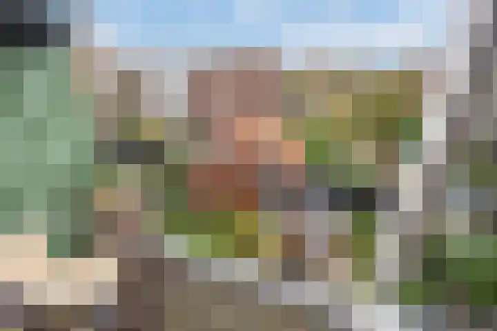 Lindelaan 47 a Rijswijk thumbnail 17