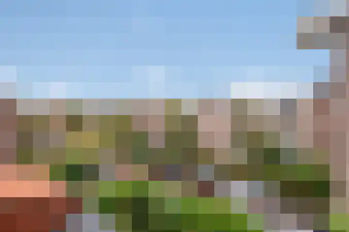 Lindelaan 47 a Rijswijk thumbnail 18