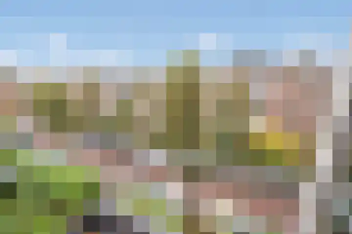 Lindelaan 47 a Rijswijk thumbnail 20