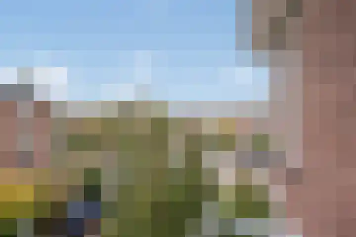 Lindelaan 47 a Rijswijk thumbnail 21