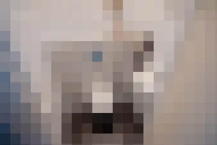 Lindelaan 47 a Rijswijk thumbnail 27