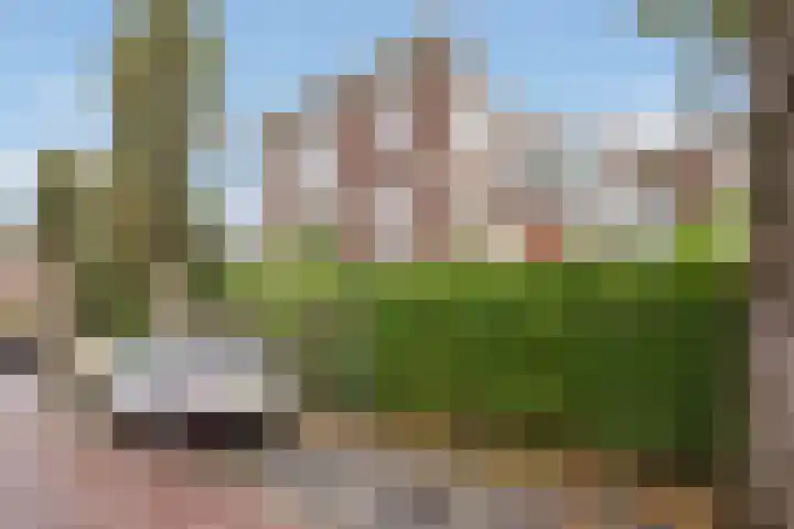 Lindelaan 47 a Rijswijk thumbnail 28