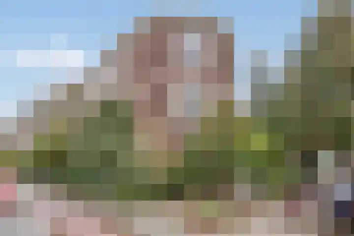 Lindelaan 47 a Rijswijk thumbnail 5