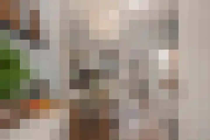 Lindelaan 47 a Rijswijk thumbnail 8
